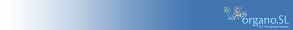 Verlauf logo